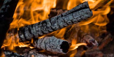 land use and bioenergy