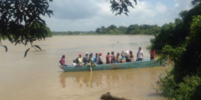 colombia peace forest