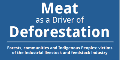 Meat as a Driver of Deforestation: Forests, communities and Indigenous Peoples: victims of the industrial livestock and feedstock industry