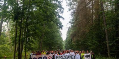 Bialowieza the last wild forest in Europe