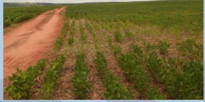 Community Conservation Resilience Initiative in Paraguay