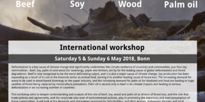 The big four drivers of deforestation: events in Bonn, May 2018