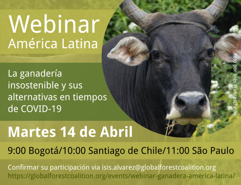 Global Forest Coalition Webinar Am Rica Latina La Ganader A