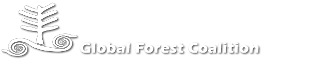 Global Forest Coalition