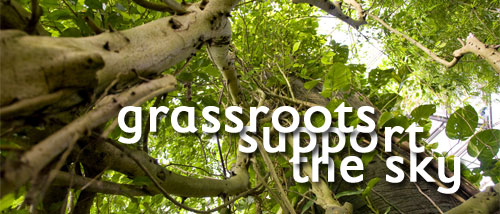 grassroots support the sky