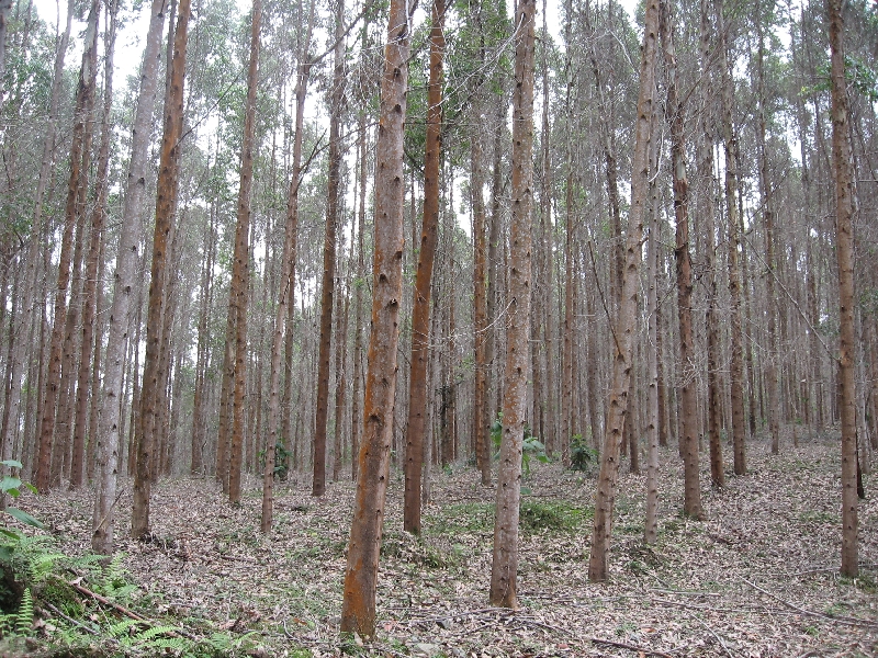 Colombia