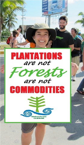 slogan-plantations are not forests