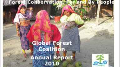 Informe anual de GFC 2010