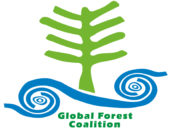 Fiu Mata’ese Elisara Steps Down as Board Member of the Global Forest Coalition