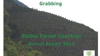 Informe anual de GFC 2012