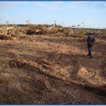 Deforestation-Paraguay