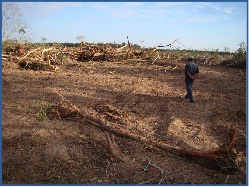 fao deforestation assessment is misplaced, GFC