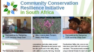 community conservation flyers screenshot