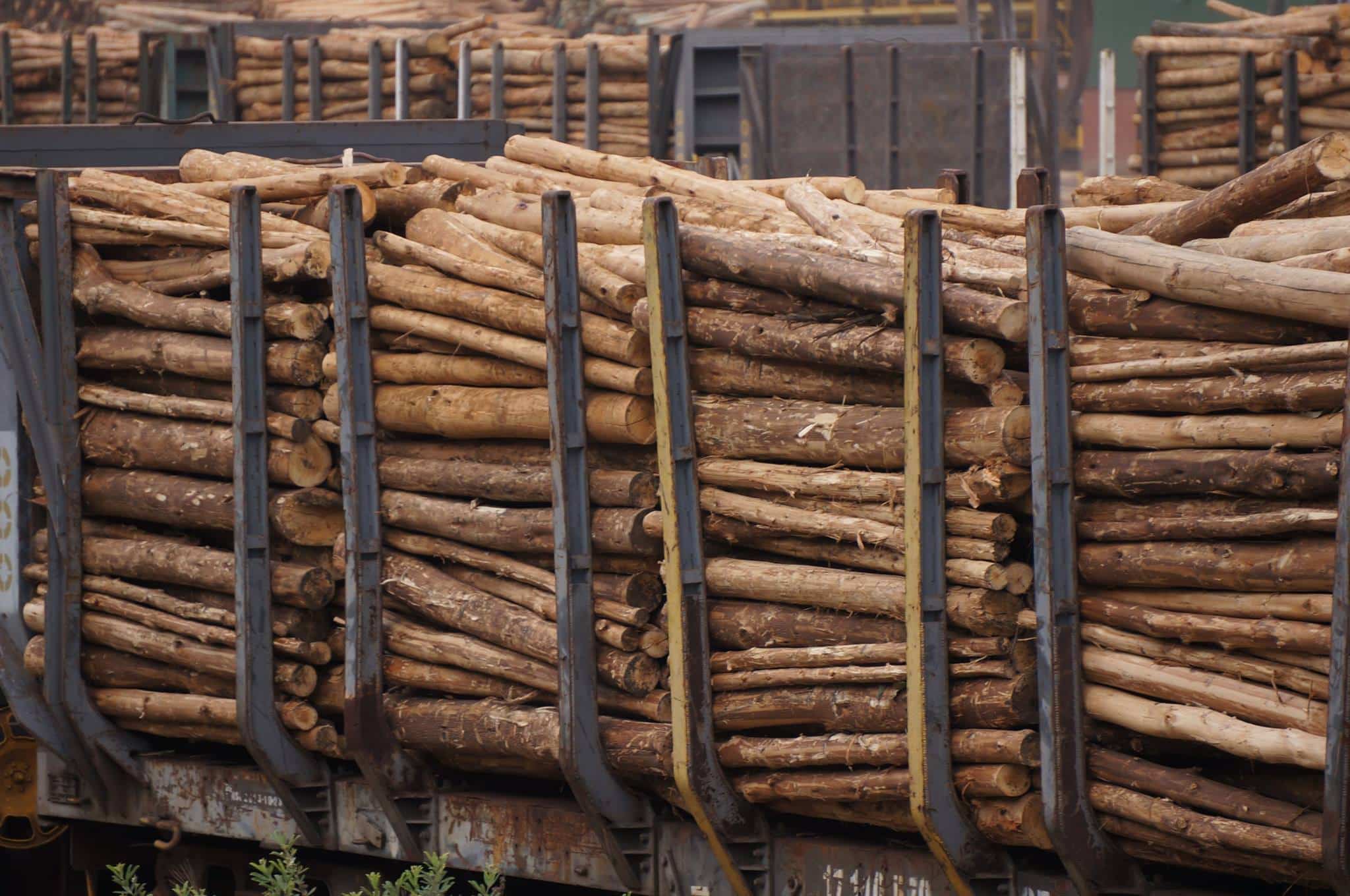 2-curioso-photography-QLOJS4bKNxg-unsplash_