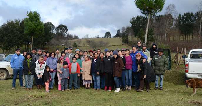 real forests are the ones with the communities, plantations are not forests - chile