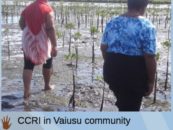Community Conservation Resilience Initiative in Samoa