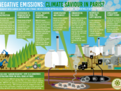 El fantasma de la ópera COP21: bioenergía con captura y almacenamiento de carbono