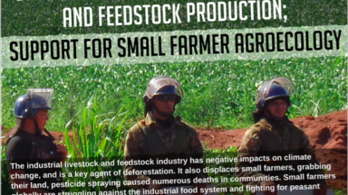 Lutte contre l’élevage industriel et la production d’aliments pour animaux, Soutien à l’agroécologie paysanne