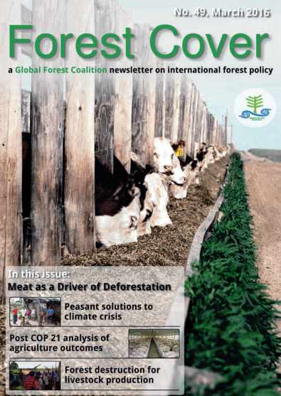 forest cover global forest coalition