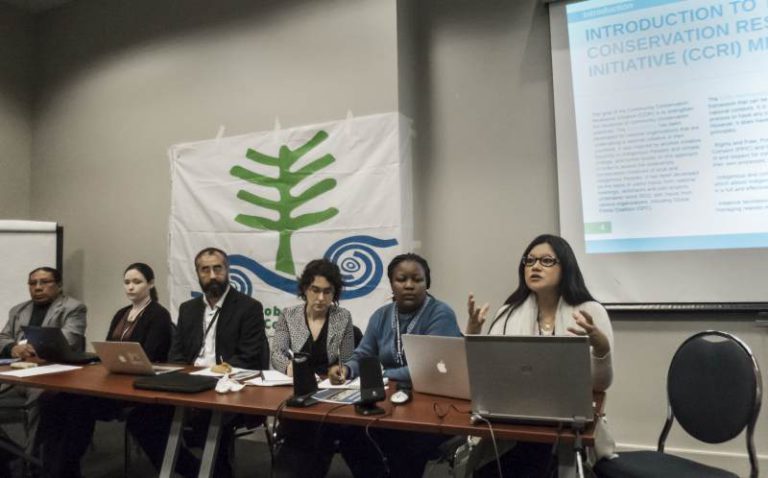 community conservation