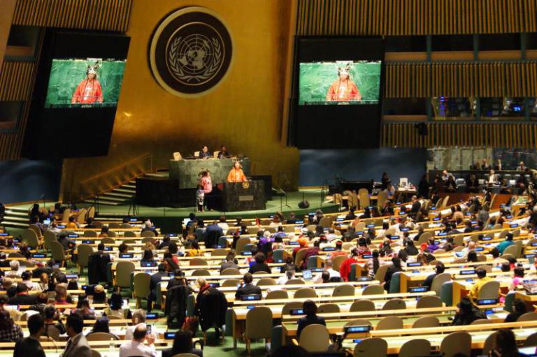 UN Permanent Forum on Indigenous Issues