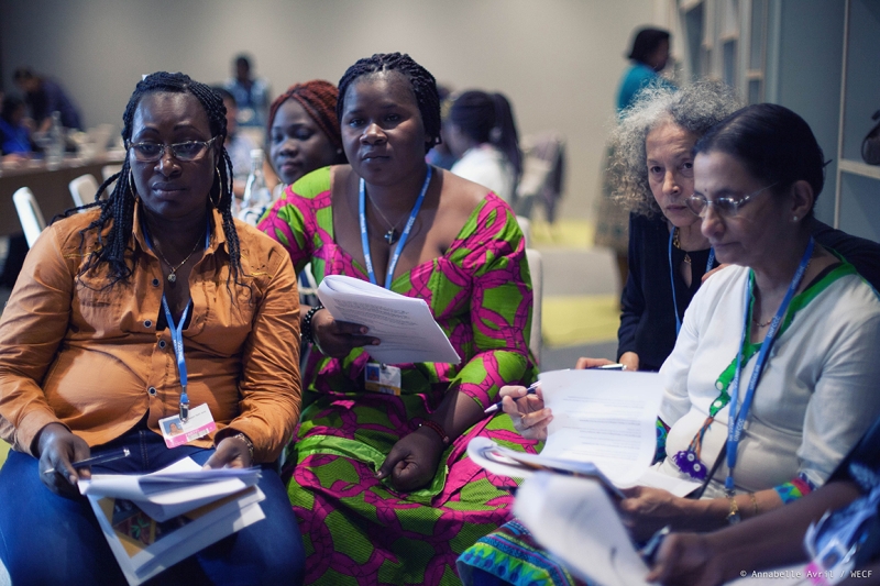 women 2030 meeting cop22