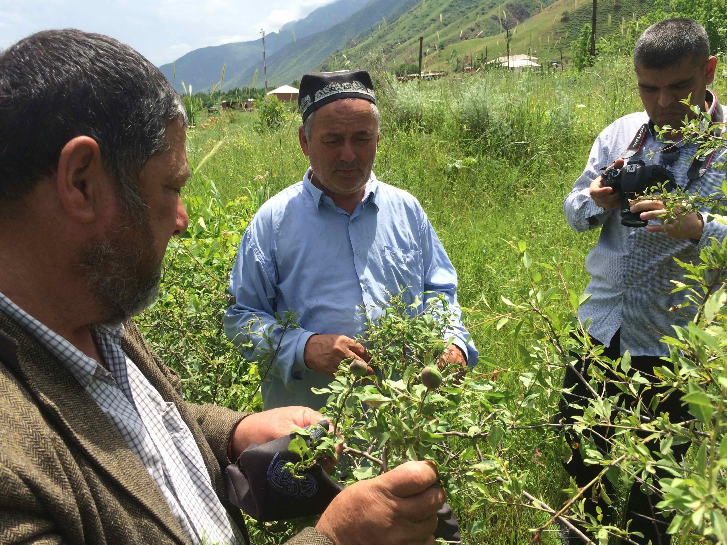 2-curioso-photography-QLOJS4bKNxg-unsplash_