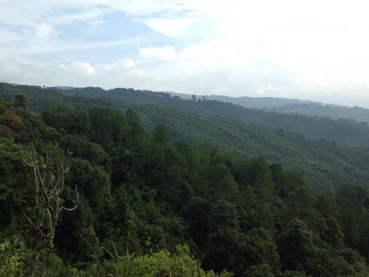 2-curioso-photography-QLOJS4bKNxg-unsplash_