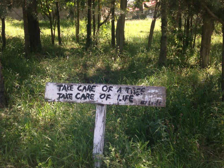 world environment day 2016 1