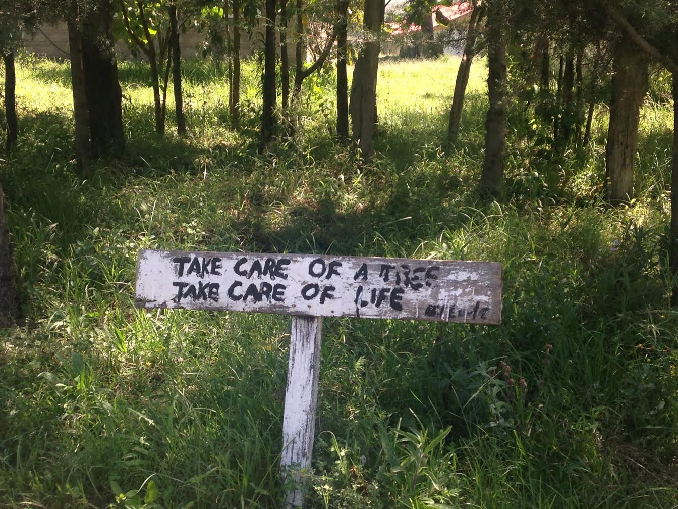 2-curioso-photography-QLOJS4bKNxg-unsplash_