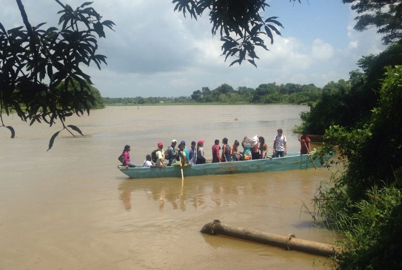 colombia peace forest