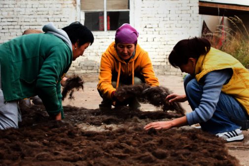 Janyl Baisheva (center), head of the Altyn Oimok Public Organization that runs the Altyn Oimok Craft Shop, helps fellow workers with a complicated process used to make raw wool more usable in handicrafts. Baisheva was instrumental in helping secure a grant implemented jointly by the UN Women Program and the Kumtor Operating Company to purchase a wool brushing machine for Altyn Oimok that greatly increased their capacity.