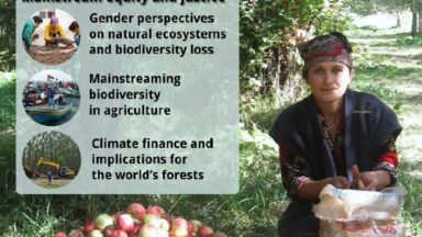 Forest Cover 51 Mainstreaming Biodiversity