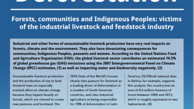 Meat as a Driver of Deforestation: Forests, communities and Indigenous Peoples: victims of the industrial livestock and feedstock industry