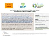 Joint Position Paper of the ICCA Consortium, Global Forest Coalition and Community Conservation Resilience Initiative on the Draft Decisions CBD COP13