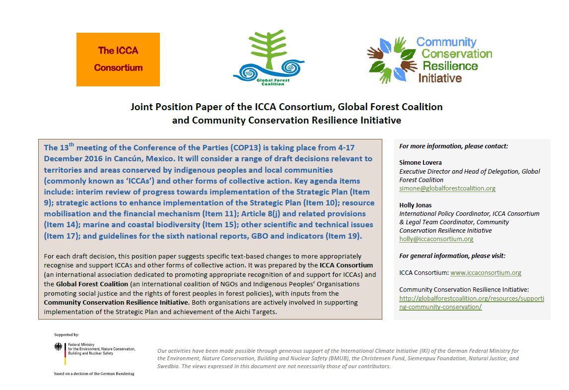 2-curioso-photography-QLOJS4bKNxg-unsplash_