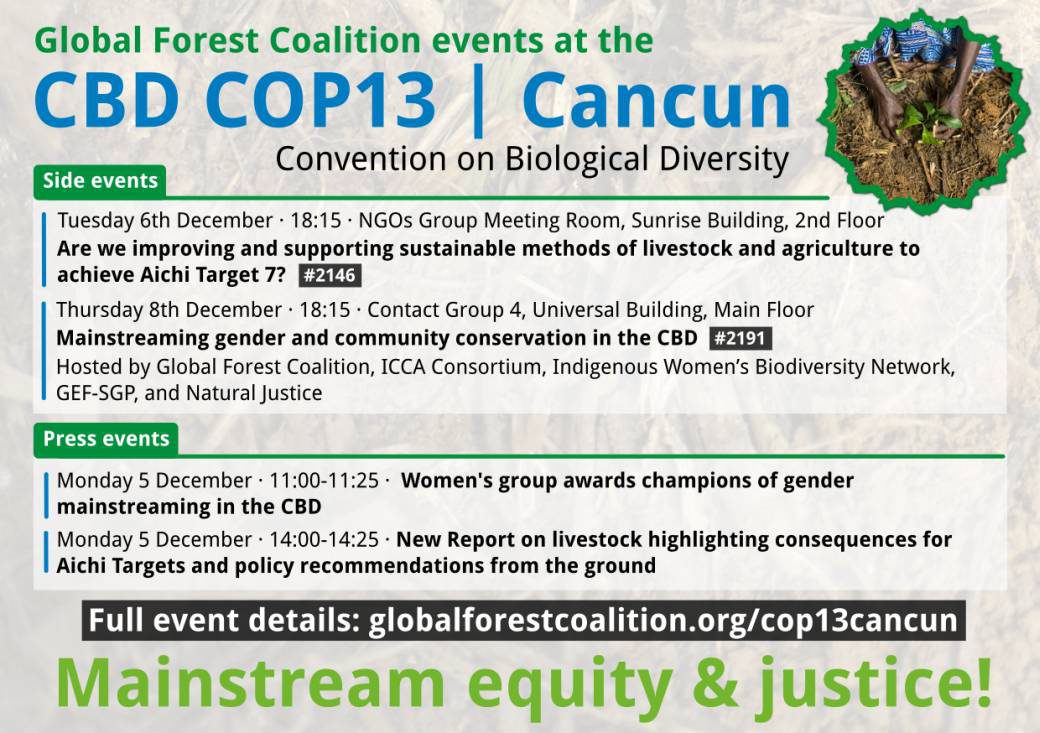 COP 13 Cancun flyer GFC