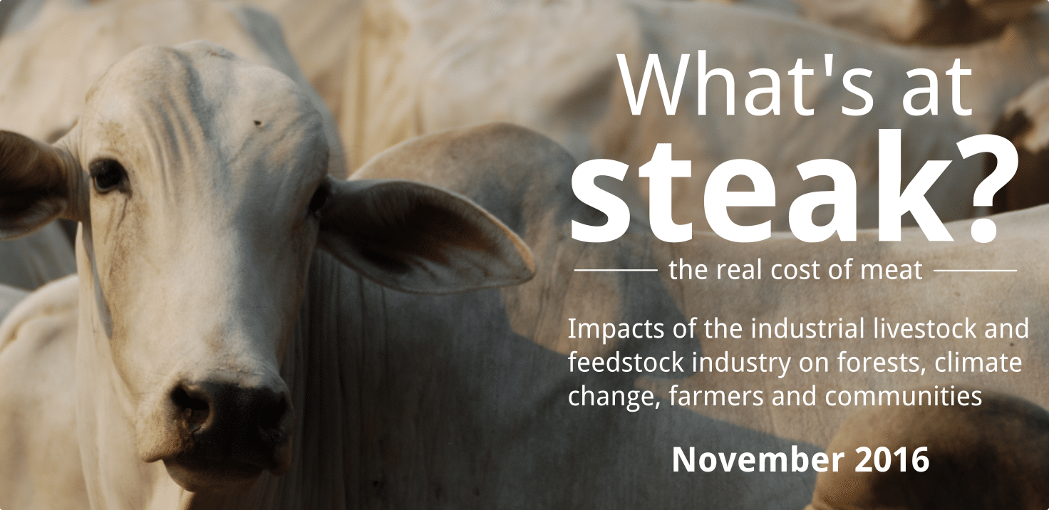 2-curioso-photography-QLOJS4bKNxg-unsplash_