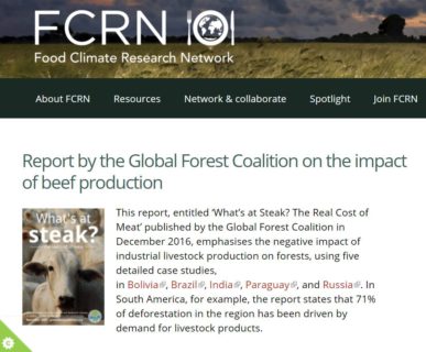 Report by the Global Forest Coalition on the impact of beef production ...