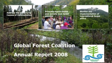 GFC Annual Report 2008