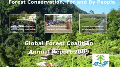 GFC Annual Report 2009