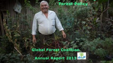 GFC Annual Report 2013