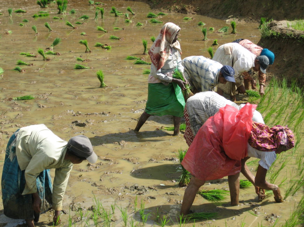 community conservation srilanka