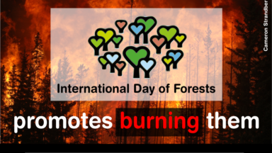 “Bioenergy Burns Forests”—Environmentalists Denounce UN’s Bioenergy Themed International Day of Forests