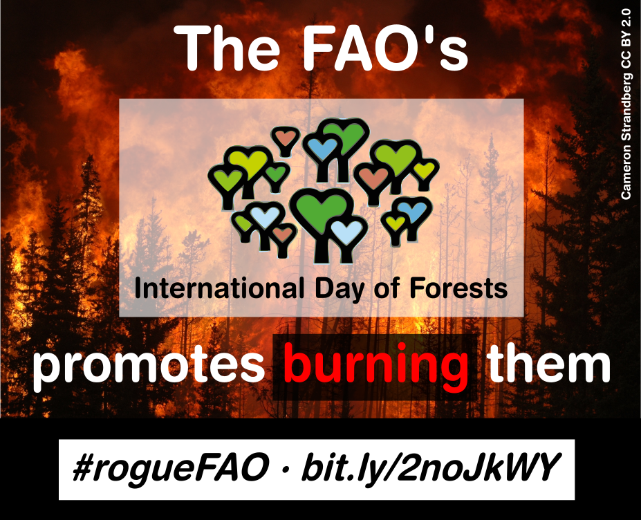 International Day of Forests