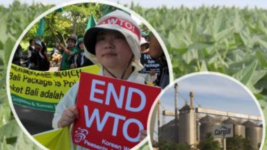 WTO and Livestock: Starving small farmers, feeding large agribusinesses