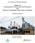 International Strategy Meeting Summary Report: Impacts of Unsustainable Livestock and Feed Production and Threats to Community Conservation in Paraguay