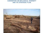 Redirection of Perverse Incentives for Unsustainable Livestock Production: Guidance for the Implementation of the Convention on Biological Diversity and its Strategic Plan