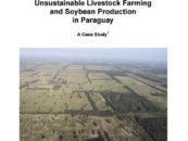The Impacts of Unsustainable Livestock Farming and Soybean Production in Paraguay – A Case Study