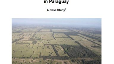 The Impacts of Unsustainable Livestock Farming and Soybean Production in Paraguay – A Case Study